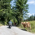 Lejlighed Panorama Harrys Bike Tours