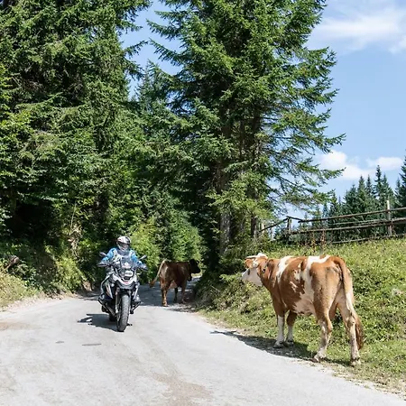 아파트 Panorama Harrys Bike Tours