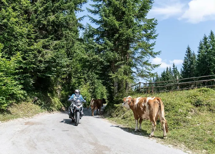 شقة Panorama Harrys Bike Tours